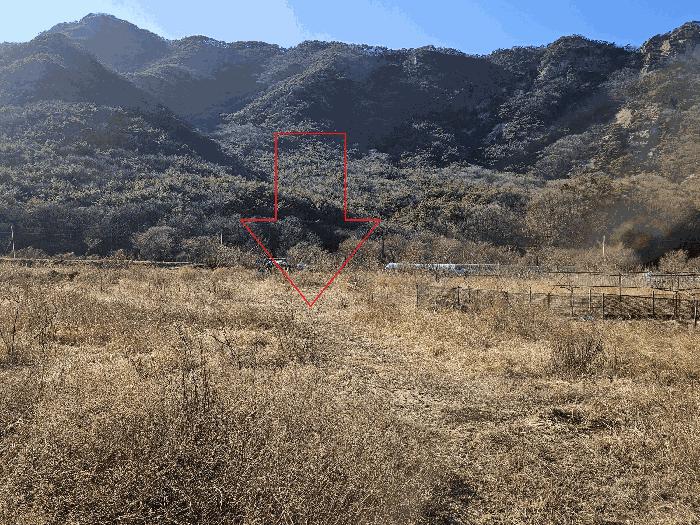 충남 공주시 반포면 전 경매 물건 사진 6 · 2025타경20288