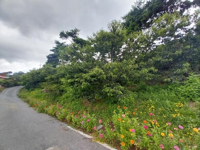 충남 공주시 우성면 대지,임야,전답 경매 물건 사진 3 · 2025타경20312