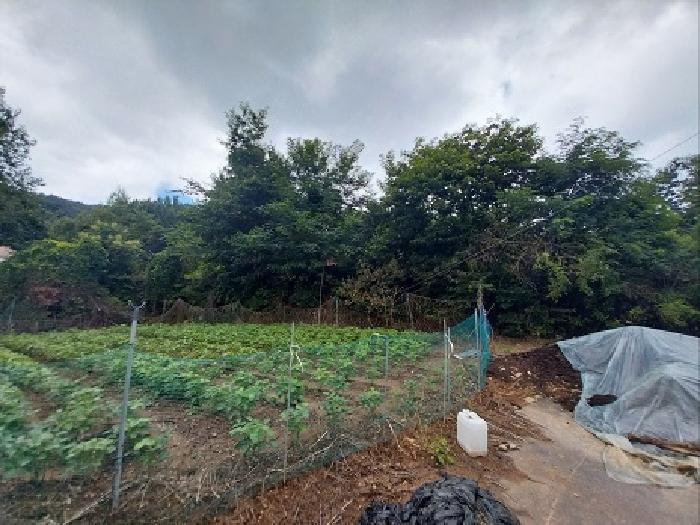 충남 공주시 우성면 대지,임야,전답 경매 물건 사진 4 · 2025타경20312