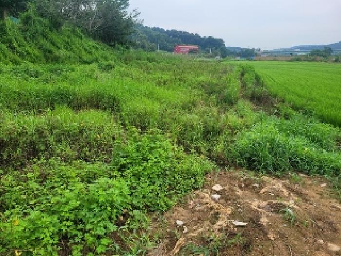 충남 공주시 송선동 전답 경매 물건 사진
