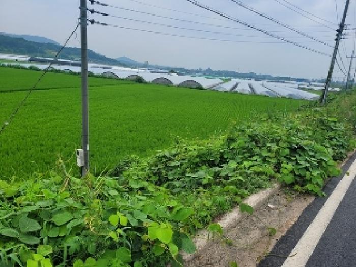 충남 공주시 송선동 전답 경매 물건 사진 3 · 2025타경20322