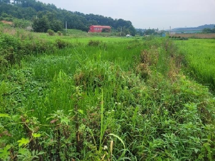 충남 공주시 송선동 전답 경매 물건 사진 4 · 2025타경20322