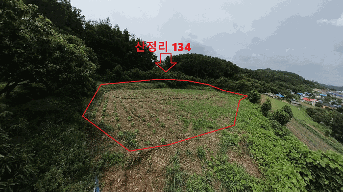 충남 공주시 신풍면 대지 경매 물건 사진 6 · 2025타경20330