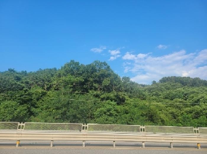 충남 공주시 월송동 대지,임야,전답 경매 물건 사진 3 · 2025타경20338