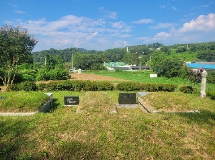 충남 공주시 이인면 대지,임야,전답 경매 물건 사진 5 · 2025타경20342