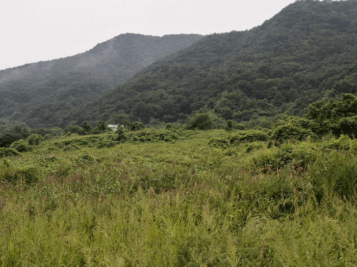 충남 공주시 사곡면 전답 경매 물건 사진 4 · 2025타경20346