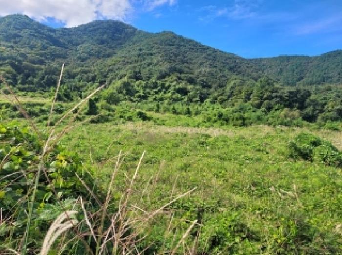 충남 공주시 사곡면 전답 경매 물건 사진