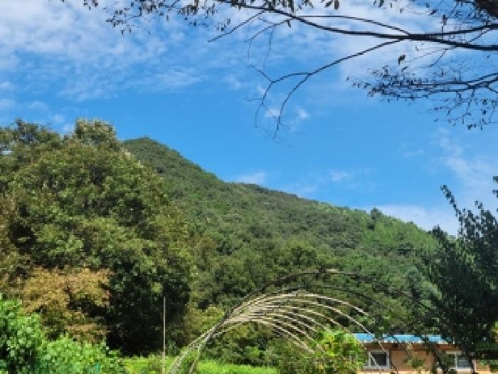 충남 공주시 유구읍 임야 경매 물건 사진