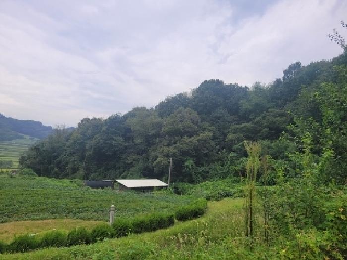 충남 공주시 의당면 임야 경매 물건 사진