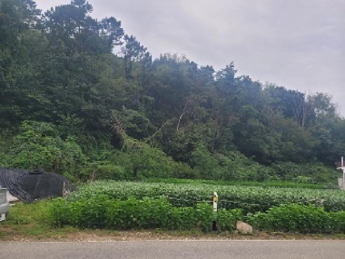 충남 공주시 의당면 임야 경매 물건 사진 2 · 2025타경20351