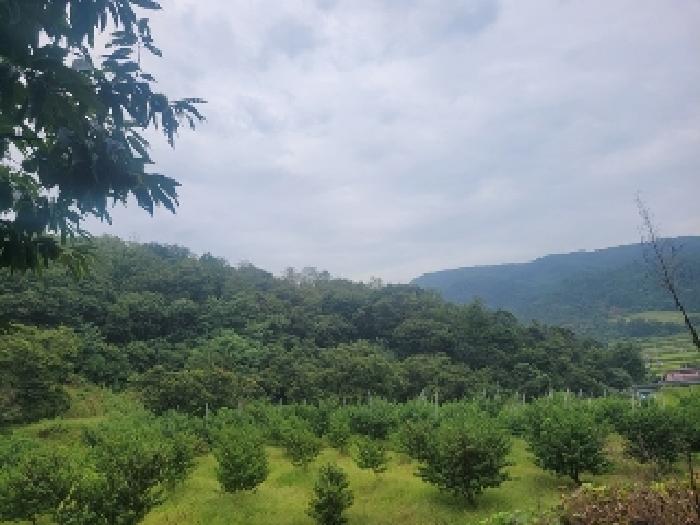 충남 공주시 의당면 임야 경매 물건 사진 3 · 2025타경20351