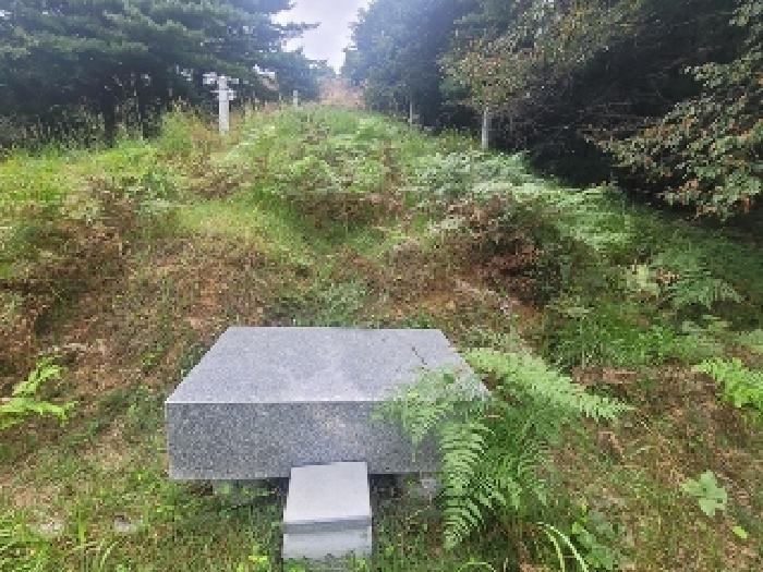 충남 공주시 의당면 임야 경매 물건 사진 5 · 2025타경20351