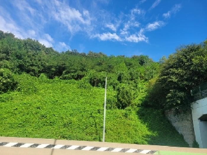 충남 공주시 의당면 대지,임야,전답 경매 물건 사진