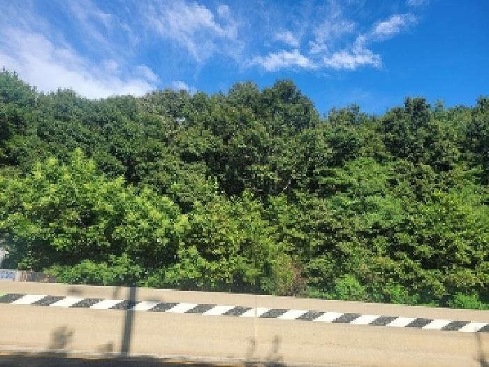 충남 공주시 의당면 대지,임야,전답 경매 물건 사진 2 · 2025타경20356
