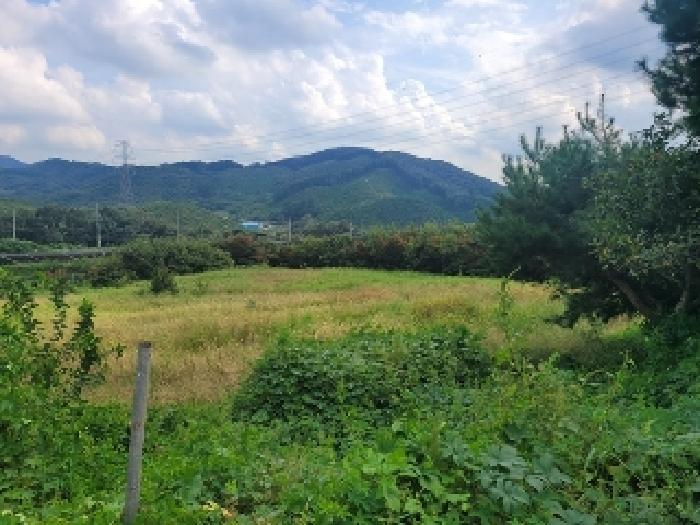 충남 공주시 계룡면 대지 경매 물건 사진 4 · 2025타경20364