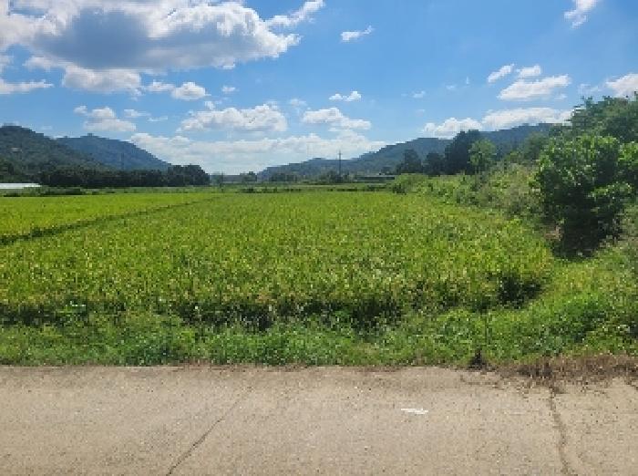 충남 공주시 계룡면 전답 경매 물건 사진