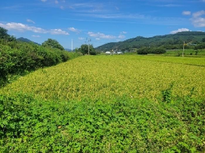 충남 공주시 계룡면 전답 경매 물건 사진 2 · 2025타경20366