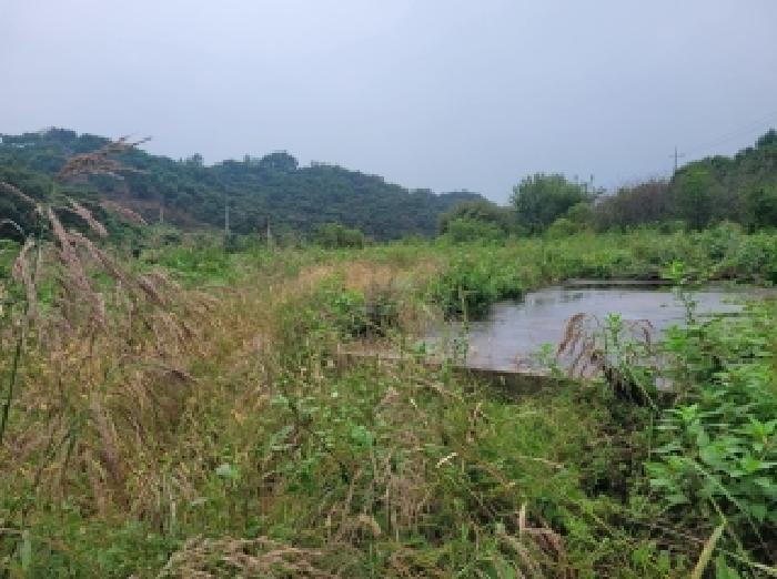 충남 공주시 의당면 대지,임야,전답 경매 물건 사진