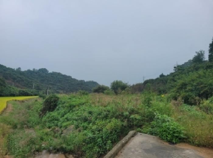 충남 공주시 의당면 대지,임야,전답 경매 물건 사진 3 · 2025타경20371