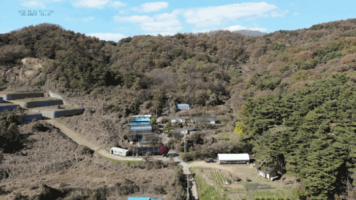 충청남도 청양군 화성면 화강리 563-2 대지,임야,전답 경매 물건 사진