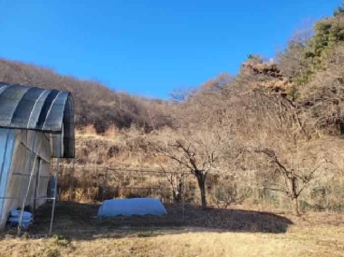 충남 청양군 화성면 대지,임야,전답 경매 물건 사진 3 · 2025타경20419