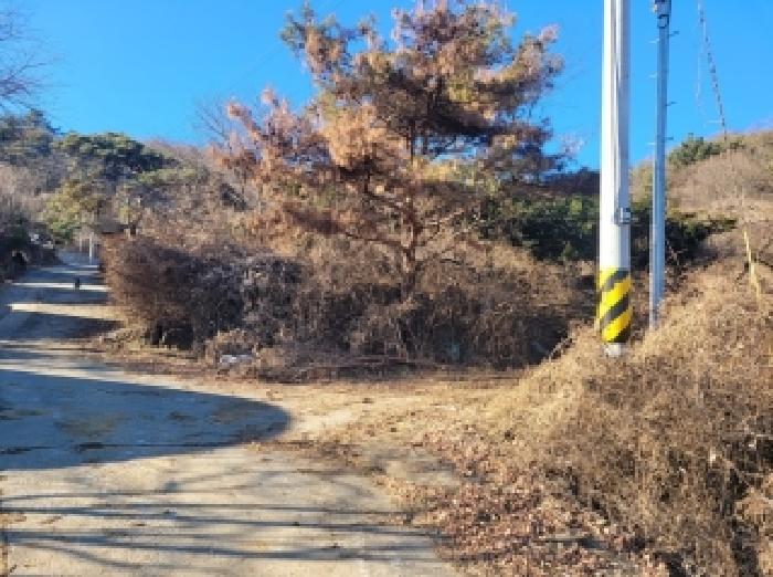 충남 청양군 화성면 대지,임야,전답 경매 물건 사진 4 · 2025타경20419