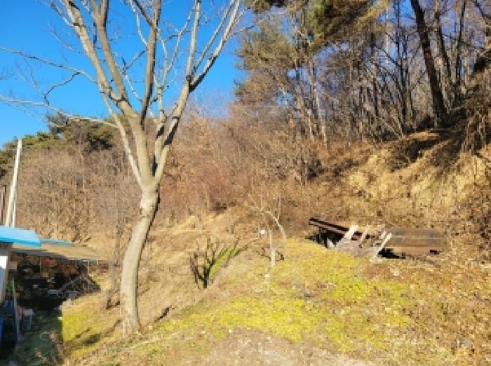 충남 공주시 이인면 대지,임야,전답 경매 물건 사진