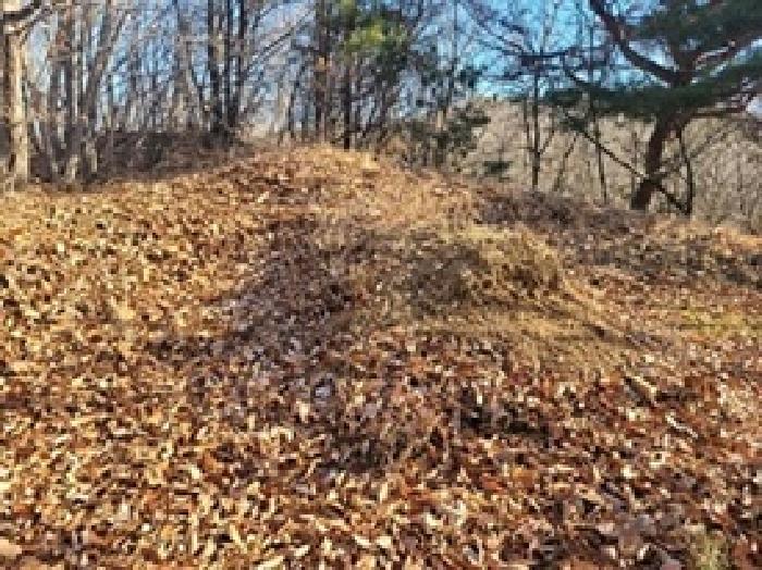 충남 공주시 이인면 대지,임야,전답 경매 물건 사진 2 · 2025타경20433