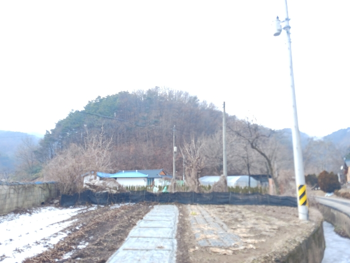 충남 공주시 유구읍 임야 경매 물건 사진 3 · 2025타경46
