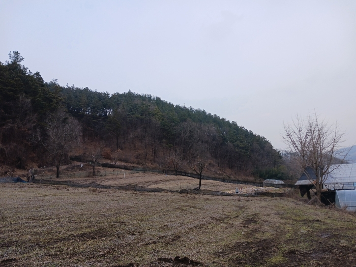 충남 공주시 유구읍 임야 경매 물건 사진 4 · 2025타경46