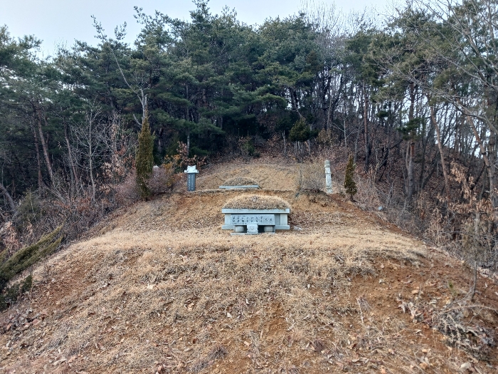 충남 공주시 유구읍 임야 경매 물건 사진 6 · 2025타경46
