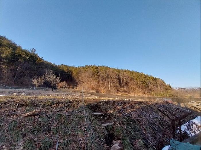 충남 공주시 유구읍 임야 경매 물건 사진