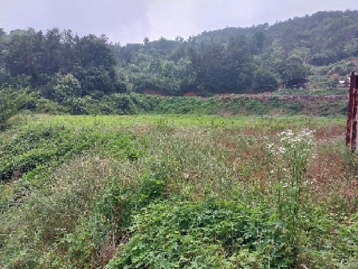 충남 공주시 우성면 전답 경매 물건 사진