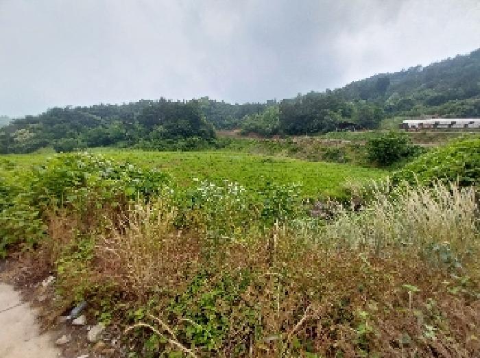 충남 공주시 우성면 전답 경매 물건 사진 2 · 2025타경55