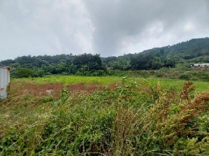 충남 공주시 우성면 전답 경매 물건 사진 3 · 2025타경55