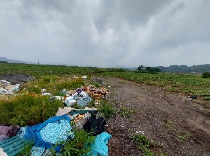 충남 공주시 우성면 임야 경매 물건 사진 2 · 2025타경59