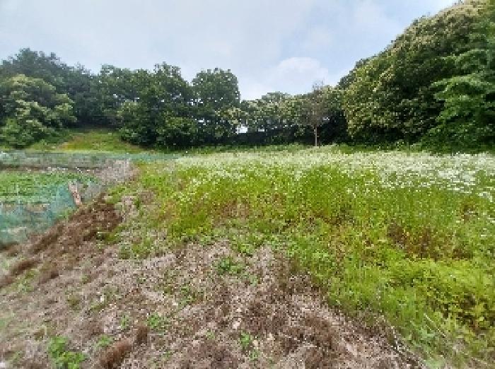 충남 공주시 우성면 전 경매 물건 사진