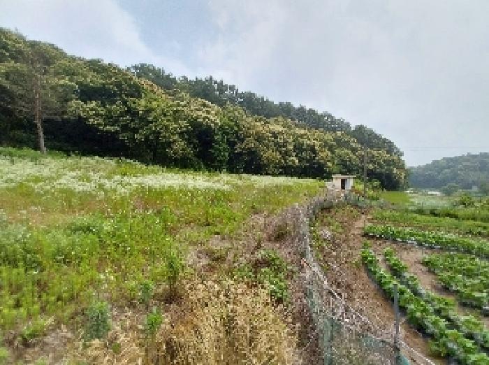 충남 공주시 우성면 전 경매 물건 사진 2 · 2025타경61