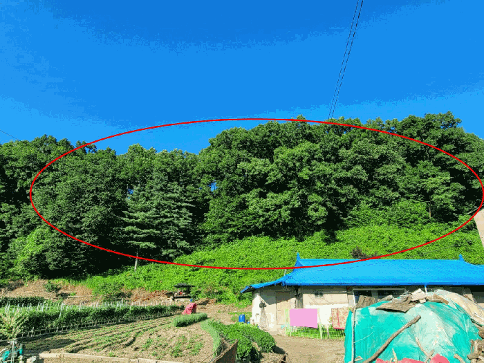 충남 공주시 유구읍 임야 경매 물건 사진 5 · 2025타경68