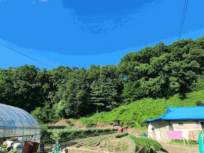 충남 공주시 유구읍 임야 경매 물건 사진 6 · 2025타경68