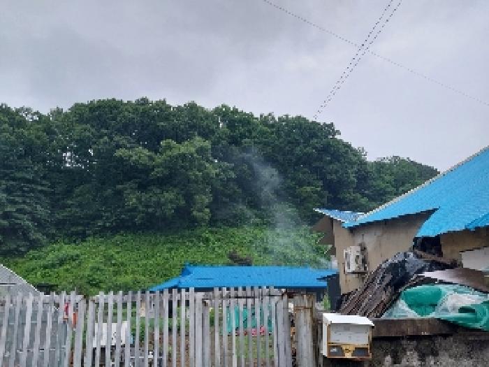 충남 공주시 유구읍 임야 경매 물건 사진