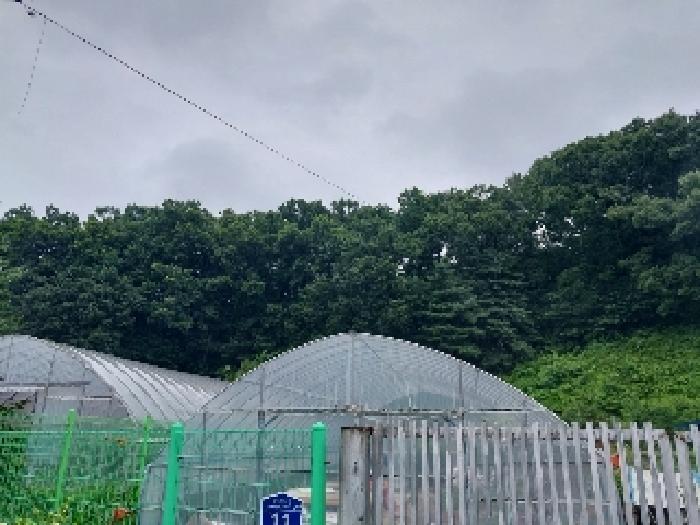충남 공주시 유구읍 임야 경매 물건 사진 2 · 2025타경68