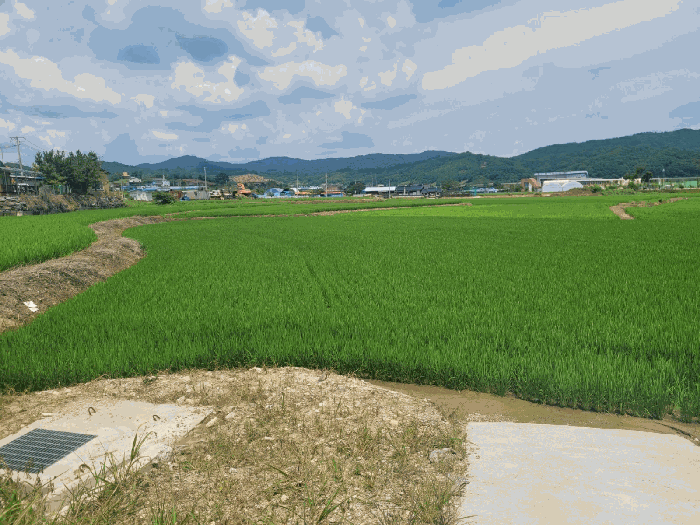 충청남도 청양군 정산면 서정리 18-11 전답 경매 물건 사진