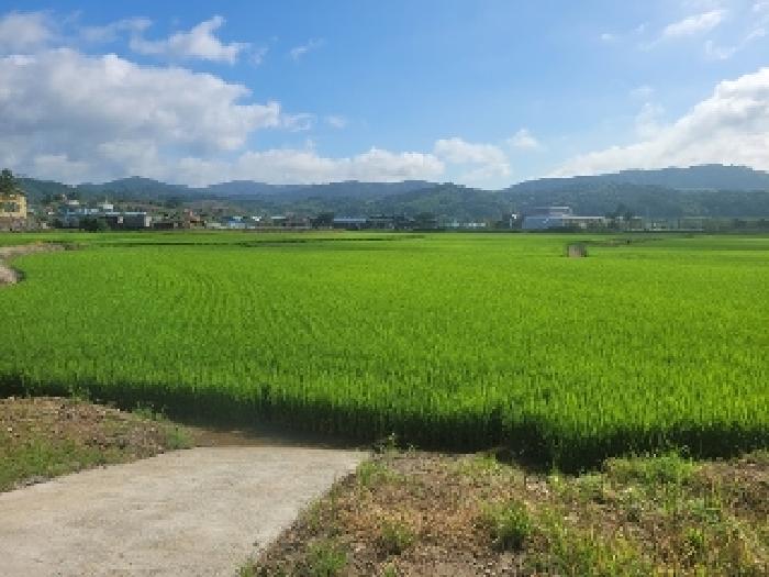 충남 청양군 정산면 전답 경매 물건 사진 2 · 2025타경75