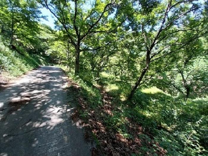 충남 공주시 정안면 답 경매 물건 사진 6 · 2025타경76