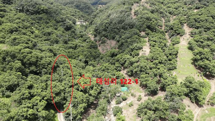 충남 공주시 정안면 답 경매 물건 사진 4 · 2025타경76