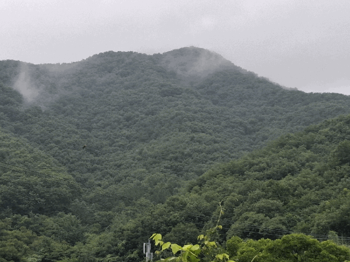 충남 공주시 우성면 임야 경매 물건 사진 5 · 2025타경79