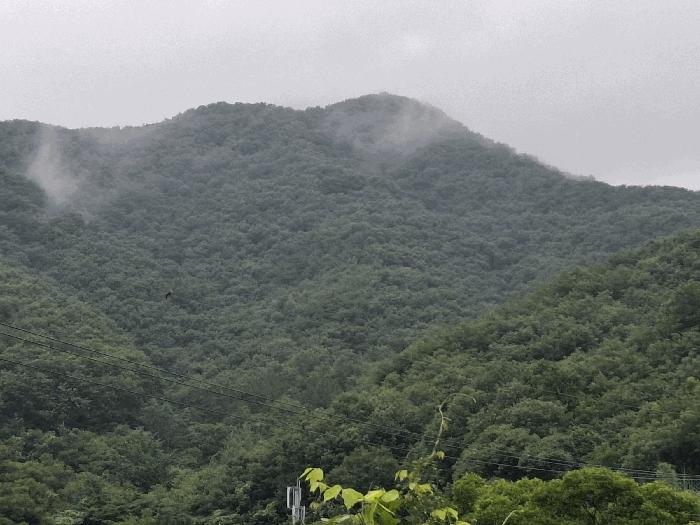 충남 공주시 우성면 임야 경매 물건 사진