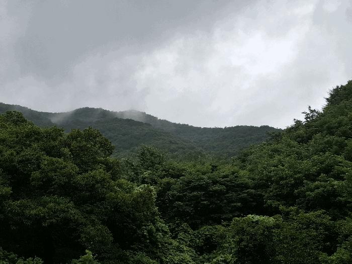 충남 공주시 우성면 임야 경매 물건 사진 6 · 2025타경79