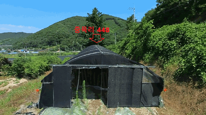 충청남도 청양군 비봉면 중묵리 446 대지,임야,전답 경매 물건 사진